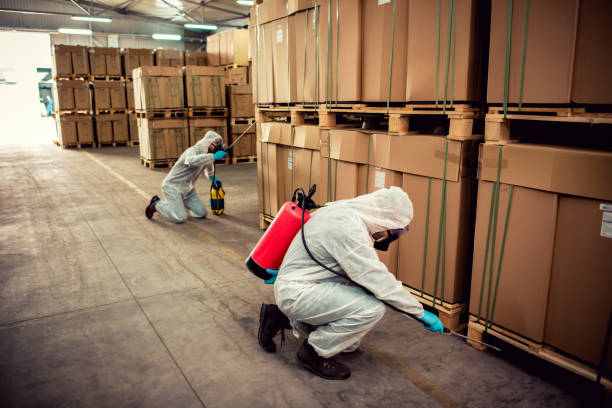 Best Pest Removal Services  in Prior Lake, MN