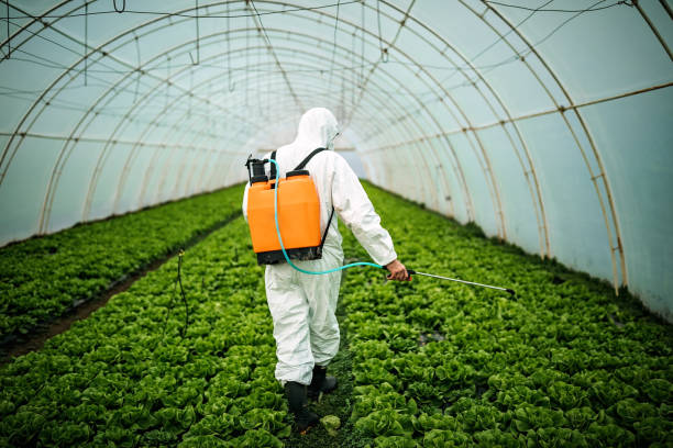 Best Local Pest Control Services  in Prior Lake, MN