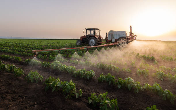 Professional Pest Control in Prior Lake, MN