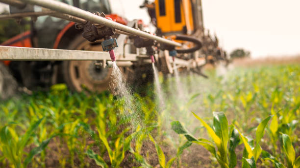 Best Wildlife Control Services  in Prior Lake, MN